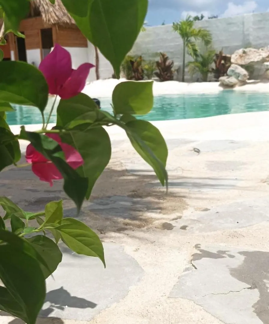 Lodge Blue Beach Eco-Hotel By Sanfabini Bayahibe
